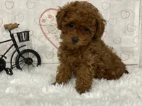 processed/a90e0dd8-39f5-4de1-a062-2cc2dac4fdc9/facility/e5182b5c-87b7-44fd-b1fc-0f4a3a66ae58