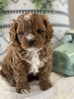 processed/a90e0dd8-39f5-4de1-a062-2cc2dac4fdc9/facility/fc126375-b0a4-46e9-b451-9fa7049bbebc