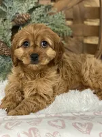 processed/a90e0dd8-39f5-4de1-a062-2cc2dac4fdc9/listing/3a0451dd-97d6-4776-ad83-958ebcd3e25c/e7d1e3b8-2119-476b-b42b-c460755ee257