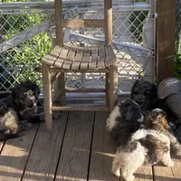 processed/a911c642-5321-4796-a1ad-536f0a4f3191/facility/ef133a94-43d1-4ff5-ba86-650e34ee2e66