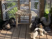 processed/a911c642-5321-4796-a1ad-536f0a4f3191/facility/ef133a94-43d1-4ff5-ba86-650e34ee2e66