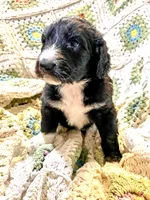 processed/a911c642-5321-4796-a1ad-536f0a4f3191/listing/2f48b71a-1539-41ed-9657-55c2d3238b15/0b28903b-6285-40af-ac8c-a58bc38c73e1