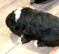 processed/a911c642-5321-4796-a1ad-536f0a4f3191/listing/2f48b71a-1539-41ed-9657-55c2d3238b15/78cb99fe-8df4-413d-b698-c9499858b75f