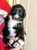 processed/a911c642-5321-4796-a1ad-536f0a4f3191/listing/2f48b71a-1539-41ed-9657-55c2d3238b15/edc4c3db-400d-4668-8d19-fe7cd4c55c26