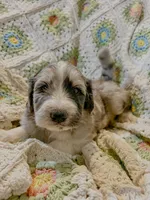 processed/a911c642-5321-4796-a1ad-536f0a4f3191/listing/75dbb5d1-4c31-4a85-8c9f-a7f836a6b2c5/29efe4cb-b256-4527-831f-053a2e27cc04