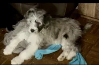 processed/a911c642-5321-4796-a1ad-536f0a4f3191/listing/75dbb5d1-4c31-4a85-8c9f-a7f836a6b2c5/37dfd449-d0b2-49ac-9c54-dba61c301166