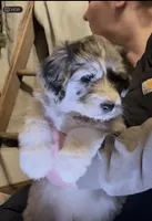 processed/a911c642-5321-4796-a1ad-536f0a4f3191/listing/75dbb5d1-4c31-4a85-8c9f-a7f836a6b2c5/9aa03157-014a-4d0d-a2a7-ae0e4132bbbc