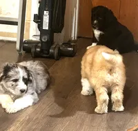 processed/a911c642-5321-4796-a1ad-536f0a4f3191/listing/75dbb5d1-4c31-4a85-8c9f-a7f836a6b2c5/aa730233-a4d3-4ba3-b441-b555d77ad37b