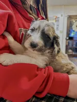 processed/a911c642-5321-4796-a1ad-536f0a4f3191/listing/75dbb5d1-4c31-4a85-8c9f-a7f836a6b2c5/b3141f5d-a40c-4c44-b6a0-0b4f8fcb85d2