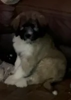 processed/a911c642-5321-4796-a1ad-536f0a4f3191/listing/99db7d36-65e1-49ee-84ad-e25f5107581f/0d1152e7-a933-4570-a26f-0948e71332e2