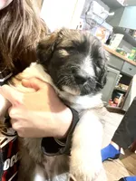 processed/a911c642-5321-4796-a1ad-536f0a4f3191/listing/99db7d36-65e1-49ee-84ad-e25f5107581f/3d17e4cf-3d7e-4ced-b4d0-0bcfe0c3e46c