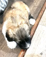 processed/a911c642-5321-4796-a1ad-536f0a4f3191/listing/99db7d36-65e1-49ee-84ad-e25f5107581f/58335ebb-fb19-430c-9358-f5331cb0327c