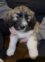 processed/a911c642-5321-4796-a1ad-536f0a4f3191/listing/99db7d36-65e1-49ee-84ad-e25f5107581f/629d8961-2c4a-4216-bad1-b7b242e8905a