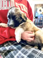 processed/a911c642-5321-4796-a1ad-536f0a4f3191/listing/99db7d36-65e1-49ee-84ad-e25f5107581f/ab80d182-f52a-433c-967c-19765a0a2221