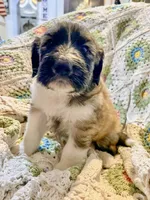 processed/a911c642-5321-4796-a1ad-536f0a4f3191/listing/99db7d36-65e1-49ee-84ad-e25f5107581f/f5d66d5a-b30a-4faf-88fa-63fc57536862