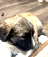 processed/a911c642-5321-4796-a1ad-536f0a4f3191/listing/99db7d36-65e1-49ee-84ad-e25f5107581f/fa05c984-01ff-4f21-aae2-34dc1ddaf2b4