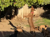 processed/a9268370-7db5-4bfe-994c-ef3d072903e0/facility/0186e918-49c6-4234-8a23-c75753b60089