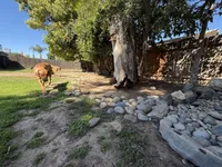 processed/a9268370-7db5-4bfe-994c-ef3d072903e0/facility/17f2fb86-7693-4d5f-b0b7-c4d428afcd9a