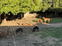 processed/a9268370-7db5-4bfe-994c-ef3d072903e0/facility/1e9f7921-ccbf-47ae-a081-d1edeb316f4f