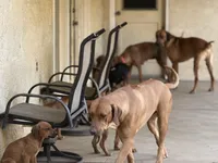 processed/a9268370-7db5-4bfe-994c-ef3d072903e0/facility/49a1a278-ed6b-46b5-804f-689120e91975