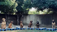 Facility photo