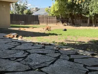 processed/a9268370-7db5-4bfe-994c-ef3d072903e0/facility/eb2b60a1-fea8-44f0-bb78-2b74e75d00a5