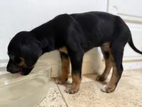 processed/a9268370-7db5-4bfe-994c-ef3d072903e0/listing/41b6363f-d0f0-488a-967d-ca549eabcb4f/3001ef1e-a338-431a-a911-45785994766a