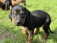 processed/a9268370-7db5-4bfe-994c-ef3d072903e0/listing/41b6363f-d0f0-488a-967d-ca549eabcb4f/47a76f28-c82e-4f94-bf21-d2843400e6be