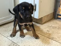 processed/a9268370-7db5-4bfe-994c-ef3d072903e0/listing/41b6363f-d0f0-488a-967d-ca549eabcb4f/5bfa169a-b66c-4de0-95e9-6bd7fe3e891d