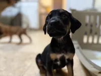 processed/a9268370-7db5-4bfe-994c-ef3d072903e0/listing/41b6363f-d0f0-488a-967d-ca549eabcb4f/8183cda4-2374-4665-bbeb-d6b3ea43f2ec