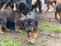 processed/a9268370-7db5-4bfe-994c-ef3d072903e0/listing/41b6363f-d0f0-488a-967d-ca549eabcb4f/86c445ae-a368-4027-a6ad-ef230ec70c67