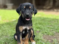 processed/a9268370-7db5-4bfe-994c-ef3d072903e0/listing/41b6363f-d0f0-488a-967d-ca549eabcb4f/b26e40ed-4ec9-4aef-92c0-d40e6065bec3