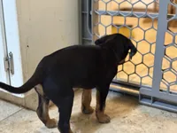 processed/a9268370-7db5-4bfe-994c-ef3d072903e0/listing/41b6363f-d0f0-488a-967d-ca549eabcb4f/fa3851c4-3be3-4db2-acdc-98a4ee8f786d