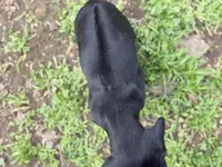 processed/a9268370-7db5-4bfe-994c-ef3d072903e0/listing/41b6363f-d0f0-488a-967d-ca549eabcb4f/ff86772e-0a81-4a10-be25-5fbaf4fd021c