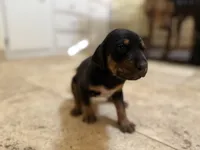 processed/a9268370-7db5-4bfe-994c-ef3d072903e0/listing/496e56fc-1ad8-4dc9-8fe3-5ef8d29e88c8/0794f8aa-b8c0-45e1-84c0-6a530cb5a045