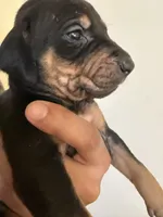 processed/a9268370-7db5-4bfe-994c-ef3d072903e0/listing/496e56fc-1ad8-4dc9-8fe3-5ef8d29e88c8/7f4466eb-45d1-45c7-9adf-eb26e4948a9d