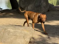 processed/a9268370-7db5-4bfe-994c-ef3d072903e0/listing/496e56fc-1ad8-4dc9-8fe3-5ef8d29e88c8/9a4d0dac-4867-4069-a7a7-eed9981e12f9