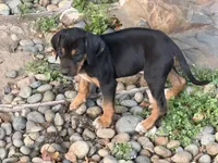 processed/a9268370-7db5-4bfe-994c-ef3d072903e0/listing/496e56fc-1ad8-4dc9-8fe3-5ef8d29e88c8/a7bf20f5-7312-42cb-91a7-397557a0dd91