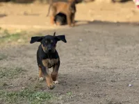 processed/a9268370-7db5-4bfe-994c-ef3d072903e0/listing/496e56fc-1ad8-4dc9-8fe3-5ef8d29e88c8/c4b9ddca-e20e-4ed2-b2bf-24e5b9168293