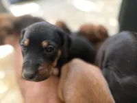 processed/a9268370-7db5-4bfe-994c-ef3d072903e0/listing/496e56fc-1ad8-4dc9-8fe3-5ef8d29e88c8/d952f3ce-6e45-4302-91bd-90911bca759d