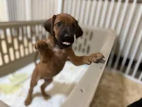 processed/a9268370-7db5-4bfe-994c-ef3d072903e0/listing/dc22b6bb-22b0-4c0f-bcc6-856059a5a600/30226758-5152-41cc-b018-0af1a0e733dc