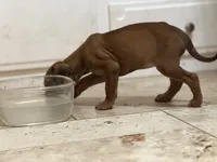 processed/a9268370-7db5-4bfe-994c-ef3d072903e0/listing/dc22b6bb-22b0-4c0f-bcc6-856059a5a600/87d499fa-7a8f-49c8-bbbf-0bdddb27d2d0