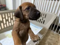 processed/a9268370-7db5-4bfe-994c-ef3d072903e0/listing/dc22b6bb-22b0-4c0f-bcc6-856059a5a600/89c0b3e7-e0ec-465f-b9bf-9a7375d40a2c