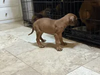 processed/a9268370-7db5-4bfe-994c-ef3d072903e0/listing/dc22b6bb-22b0-4c0f-bcc6-856059a5a600/d330d3cb-a1e6-411a-8741-2d4600f5fbca