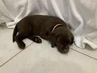 processed/a92728ba-c149-46ac-a938-0bd26c2560a7/facility/34efea2c-12de-47b9-99d8-d0fed6ce67dc