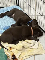 processed/a92728ba-c149-46ac-a938-0bd26c2560a7/facility/661fe2ed-be8c-4bde-b58a-a93537c45a80