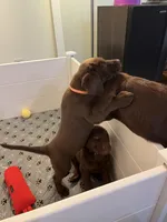 processed/a92728ba-c149-46ac-a938-0bd26c2560a7/facility/916dda92-9749-4f5e-a0dc-7aaf01303f2d