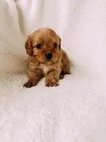 processed/a92876b7-2e87-4b1d-8cf0-d43b90c0f9fd/listing/31c49739-2c4a-49a3-9d52-f424e8ec80ef/2b35f793-0d52-4471-aa5e-3faf7e910922