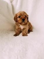 processed/a92876b7-2e87-4b1d-8cf0-d43b90c0f9fd/listing/31c49739-2c4a-49a3-9d52-f424e8ec80ef/63e5aabb-a746-4d28-8e87-939f6c70a273