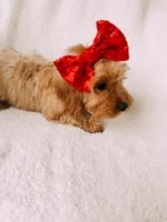 processed/a92876b7-2e87-4b1d-8cf0-d43b90c0f9fd/listing/4e359c9a-cd25-4cf5-97de-b238f2efd332/4f7fd974-106f-4f25-85b0-6542963a34a8